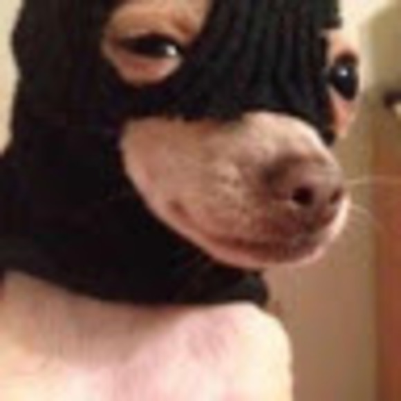 Meet your Posher, The - Picture 1 of 1